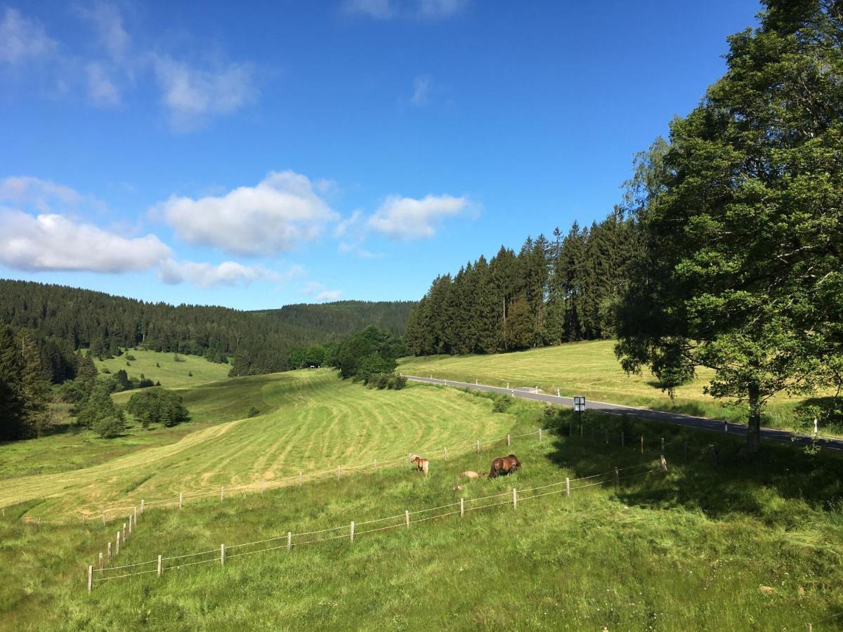Appartements Und Ferienhaus Gasthof Kanzlersgrund Oberhof  Bagian luar foto