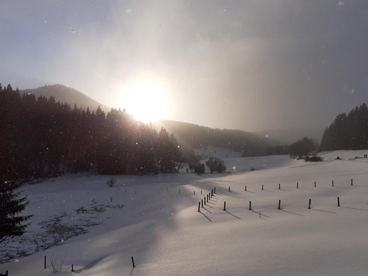 Appartements Und Ferienhaus Gasthof Kanzlersgrund Oberhof  Bagian luar foto