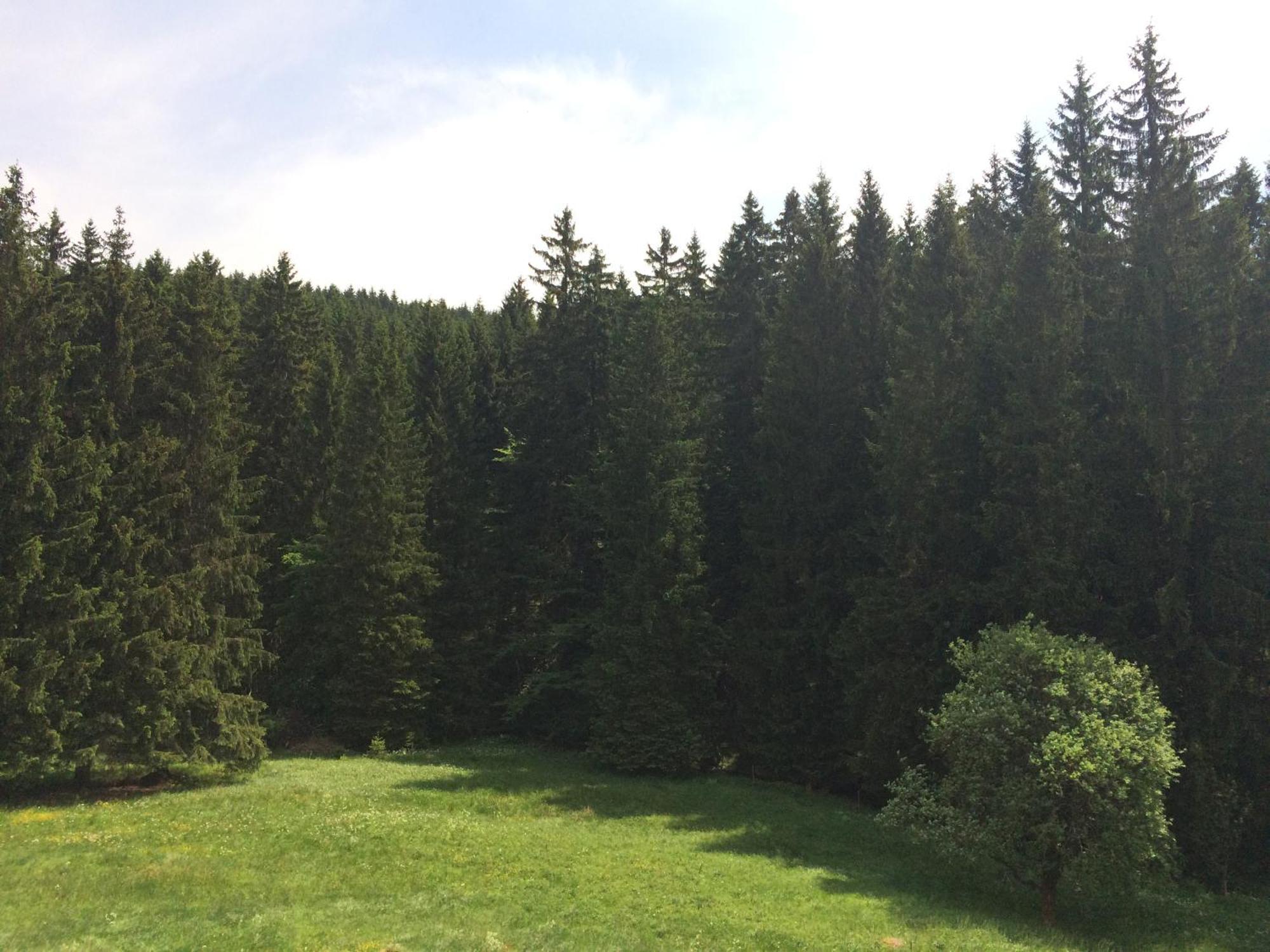 Appartements Und Ferienhaus Gasthof Kanzlersgrund Oberhof  Bagian luar foto