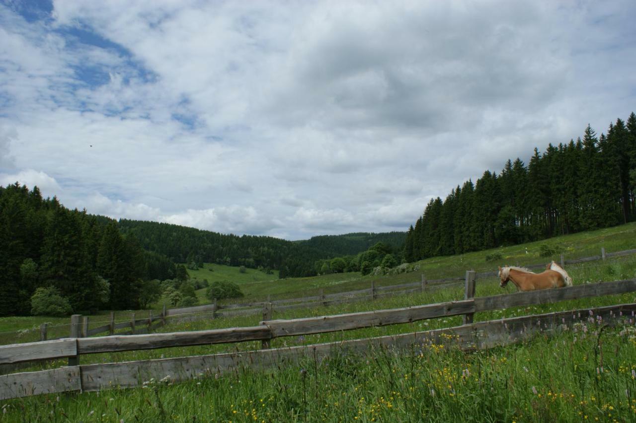 Appartements Und Ferienhaus Gasthof Kanzlersgrund Oberhof  Bagian luar foto