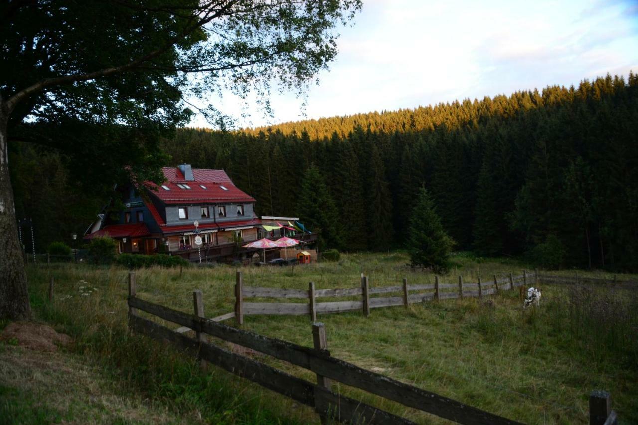 Appartements Und Ferienhaus Gasthof Kanzlersgrund Oberhof  Bagian luar foto
