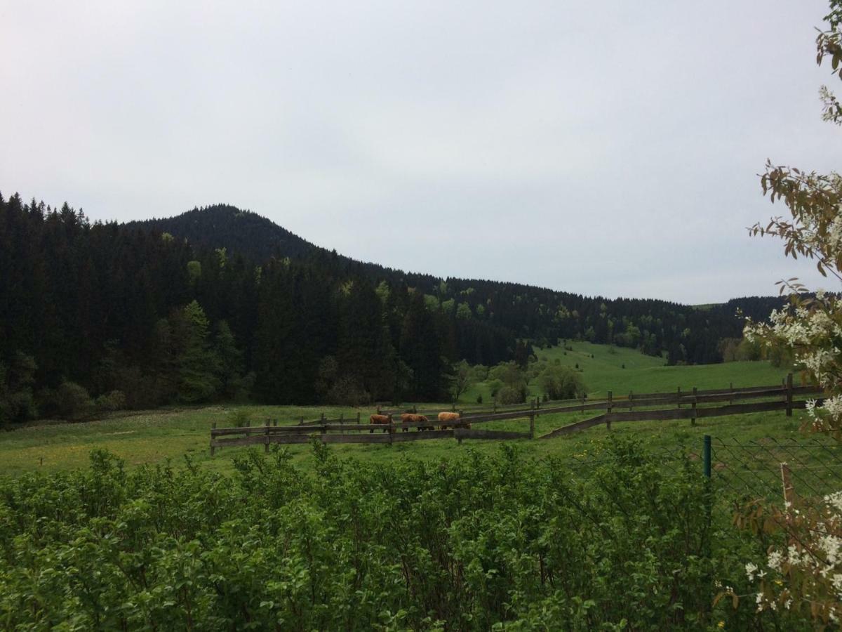Appartements Und Ferienhaus Gasthof Kanzlersgrund Oberhof  Bagian luar foto